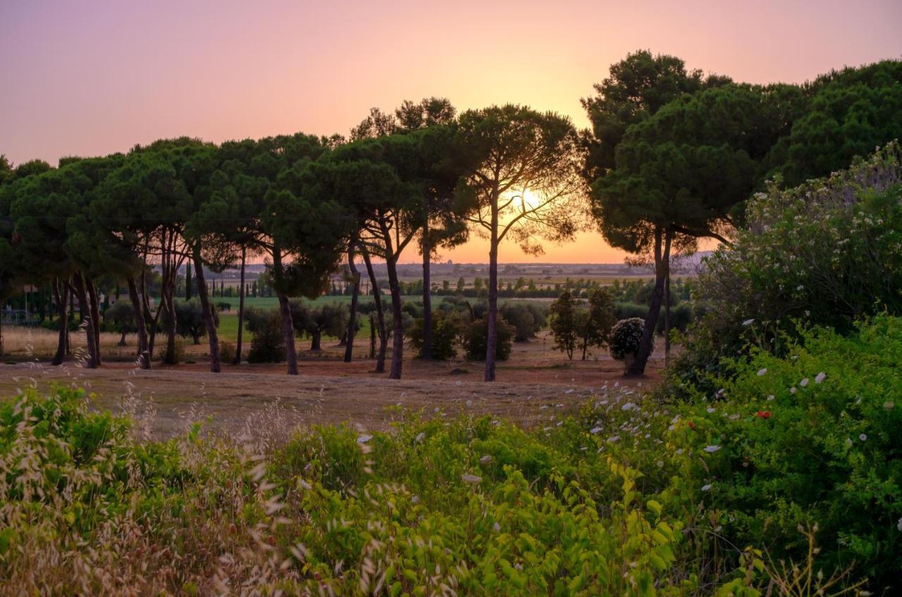 Antica Fattoria La Parrina Villa Orbetello Bagian luar foto